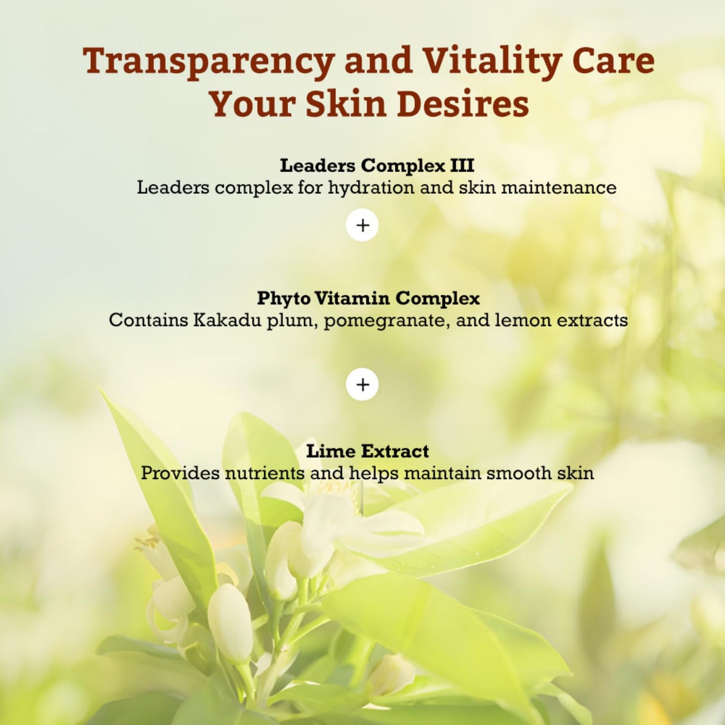 LEADERS Vita Toning Skin Renewal Mask – Nourishing & Revitalizing Sheet Mask for Healthy Skin | Soft, Breathable, & Skin Friendly Face Mask – 10 Sheets