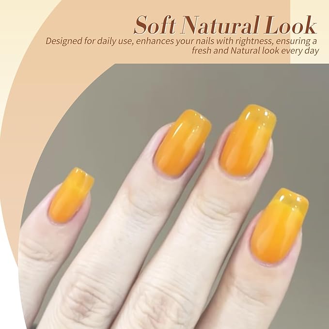 Born Pretty Jelly Gel Nail Polish 6 Colors Fall Winter Translucent Clear Pumpkin Burgundy Wine Red Coral Burnt Orange Grey Amber Brown Gel Polish Sheer Crystal Transparent Halloween Gel Polish Set