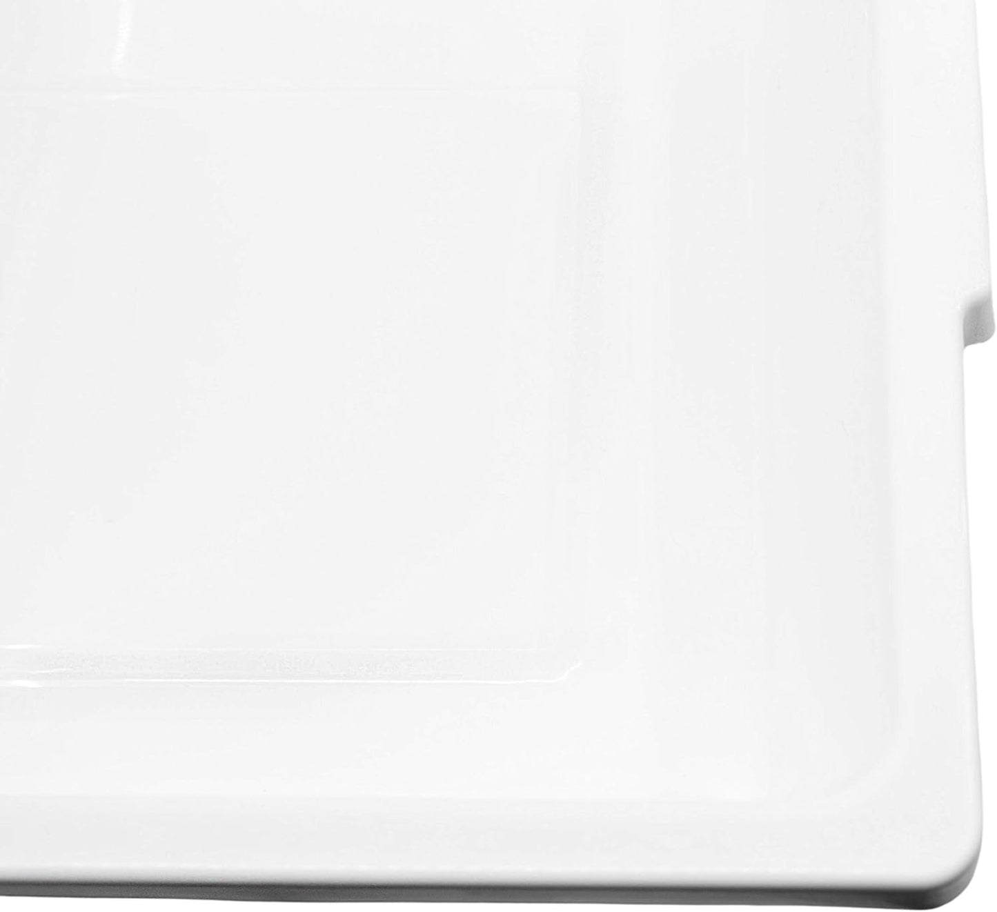 Eisco - Utility Lab Tray, Polypropylene Plastic, Chemical Resistant, Easy-Carry Lip, Lab Sterilization & Storage Container, Multipurpose Organizer, 21 x 17 x 5 Inches
