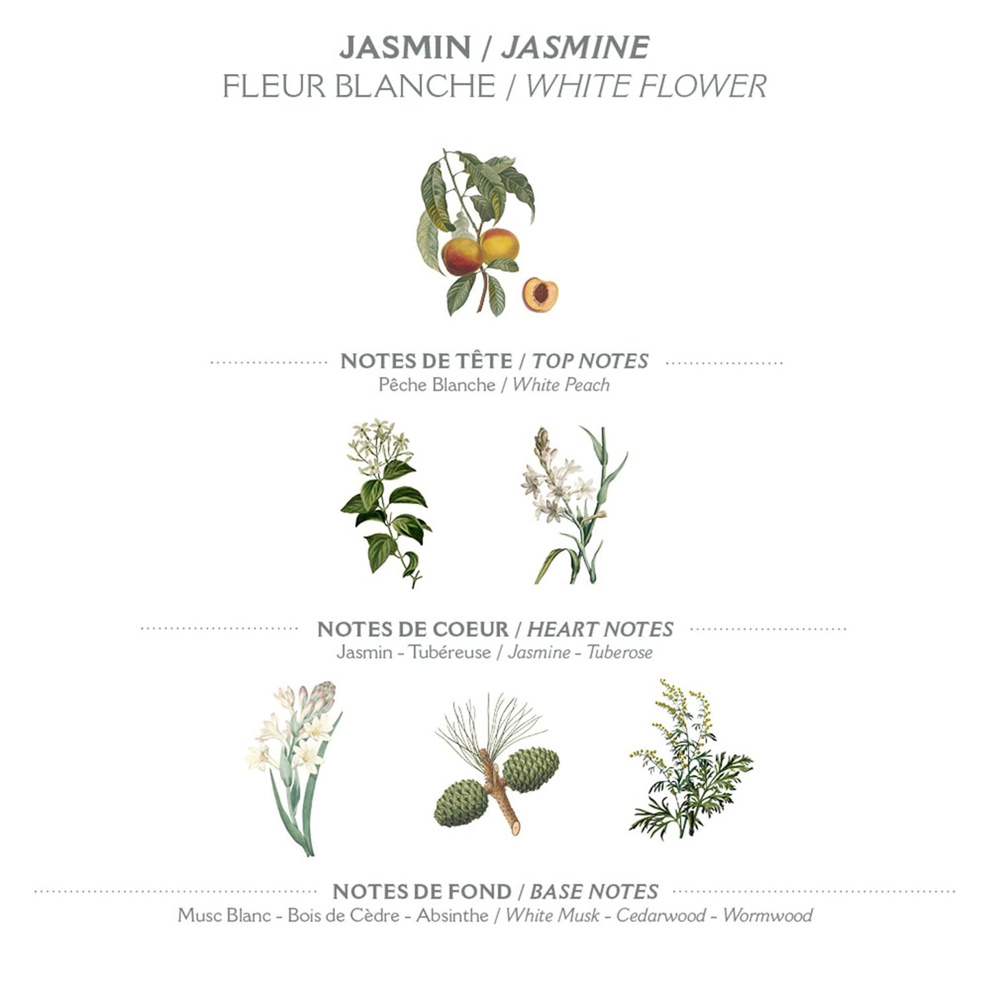 Panier des Sens Jasmin Hand Cream - Nourishing Shea Butter Hand Cream for Dry Cracked Hands 97% Natural Ingredients - Dermatologically Tested Hand Lotion for Woman Made in France, 2.5 fl oz
