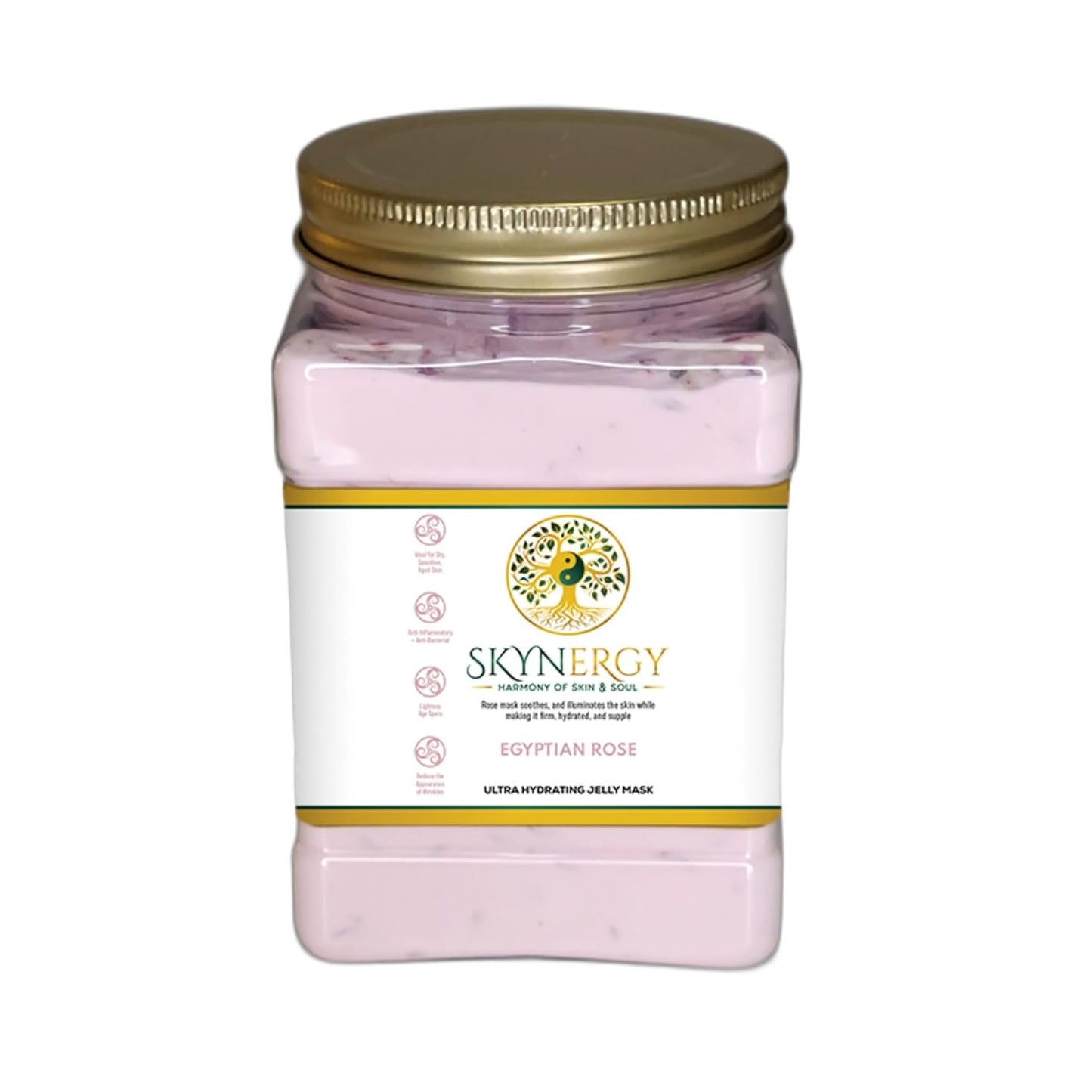 Egyptian Rose Jelly Mask - Professional Grade HydroGlo Peel Off Face Mask for Skin Hydration, Radiance, Reduced Fine Lines & Pigmentation Vajafacial Jelly Mask | 12 Applications (30 fl oz)