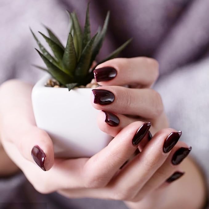 Major Dijit Quick Dry Nail Polish Wine Red Summer Nail Lacquer for Nail Art Regular Nail Polish 0.41 fl oz.