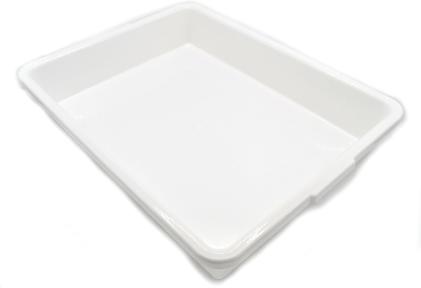 EISCO Laboratory Tray - 17.5 x 13.5 x 3 Inches - Polypropylene Plastic