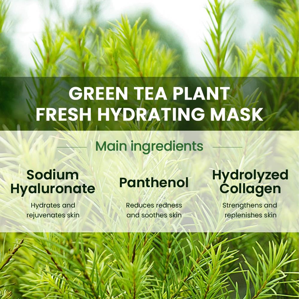 6 PCS Real Nature Tea Tree Hydrating Nature Face Masks Skincare, Hyaluronic Acid, Vitamin C and E, Chamomile, Korean Beauty Essence Facial Paper Sheet Mask for Skin Care Moisturizing