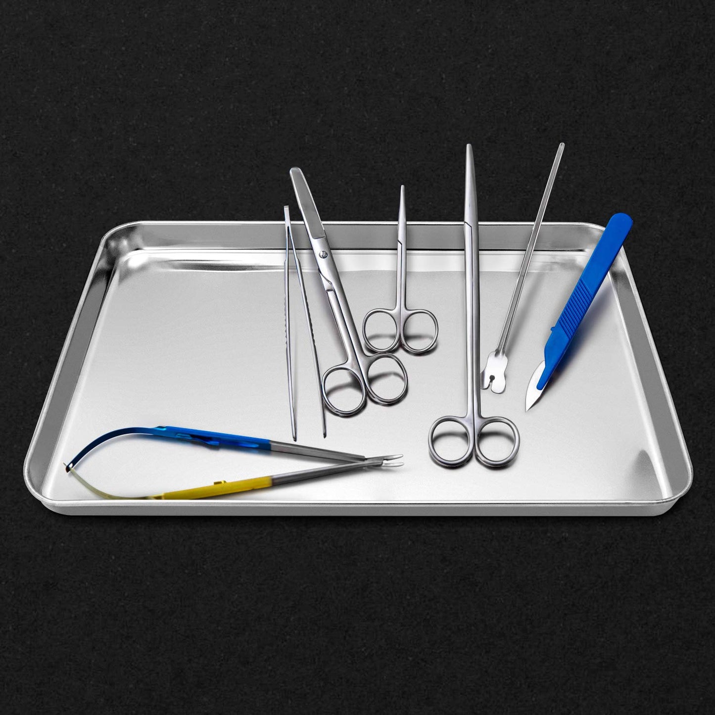 QWORK Stainless Steel Surgical Tray, for Medical Instruments, Tattoo, Surgical Supplies, 15-3/4 x 11-13/16 x 1", 2 Pack