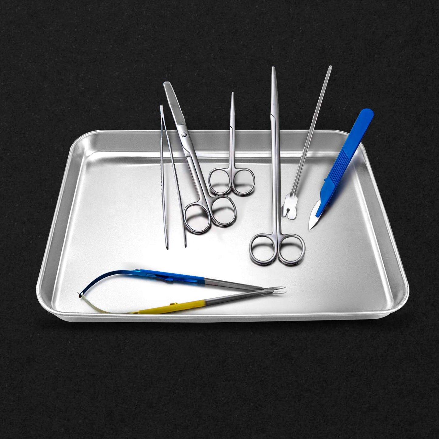 QWORK 2 Pack Stainless Steel Surgical Tray, for Medical Instruments, Tattoo, Surgical Supplies, 10 5/8" x 6 11/16" x 1 5/16", Flat Bottom Tray