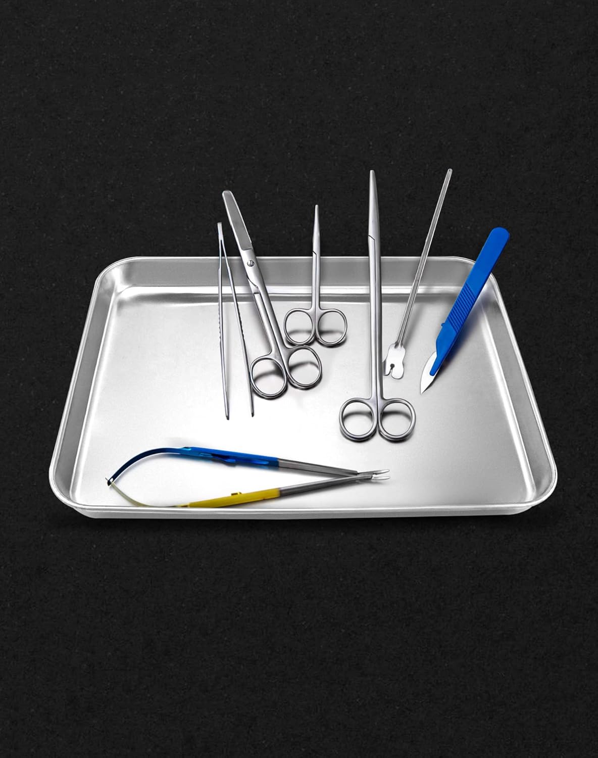 QWORK Stainless Steel Surgical Tray, for Medical Instruments, Tattoo, Surgical Supplies,12 3/16 x 9 7/16 x 1 inch, 2 Pack